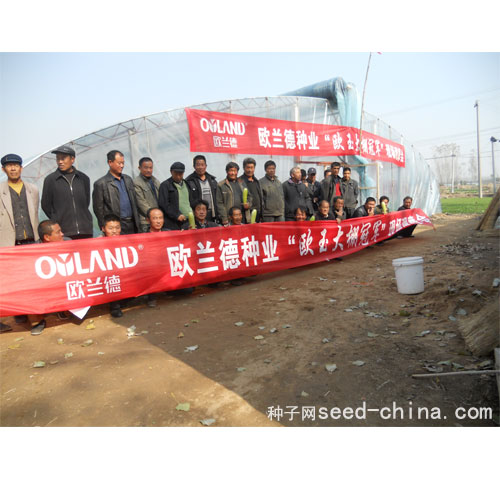 点击在新窗口中打开