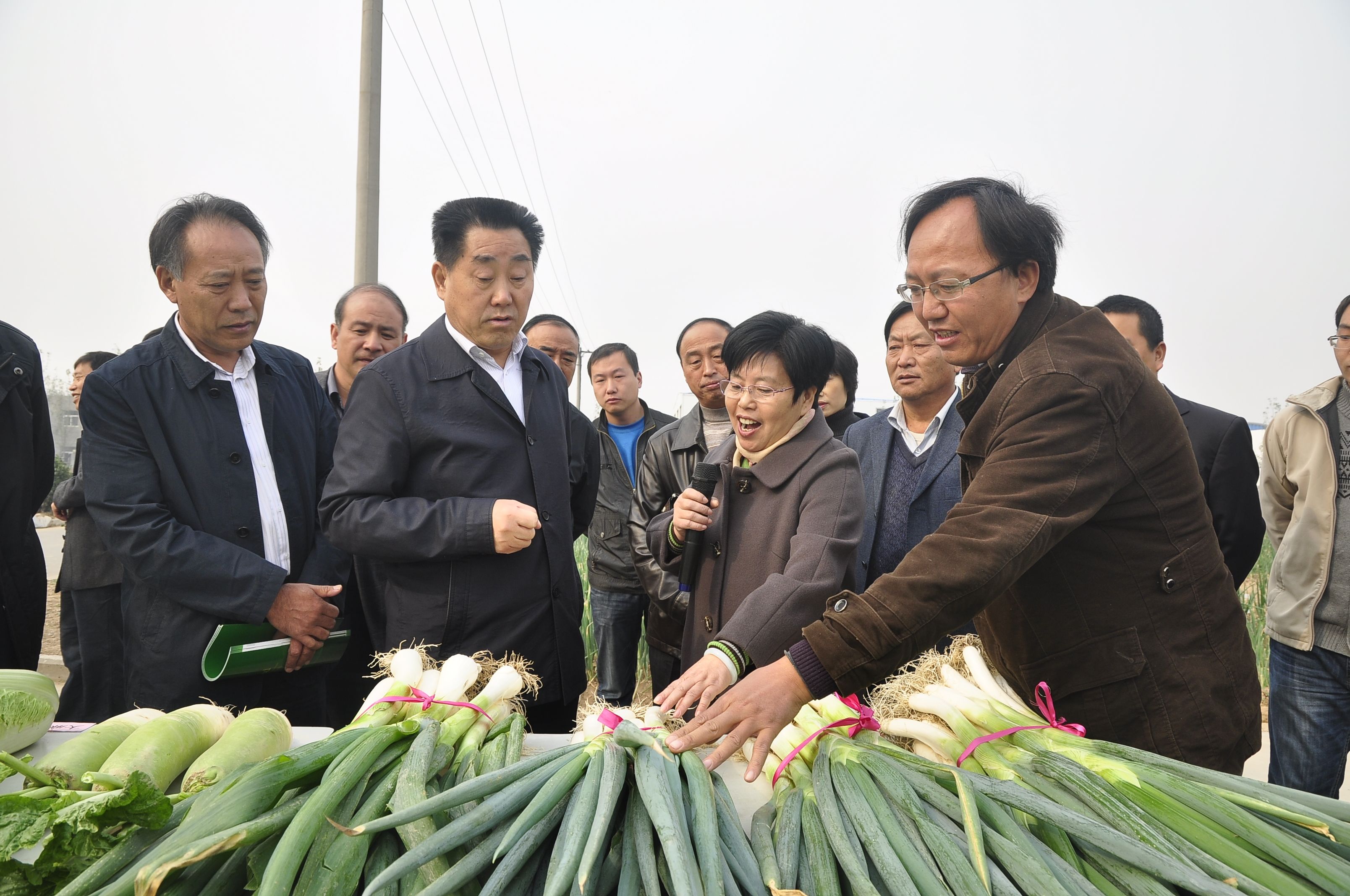 点击在新窗口中打开