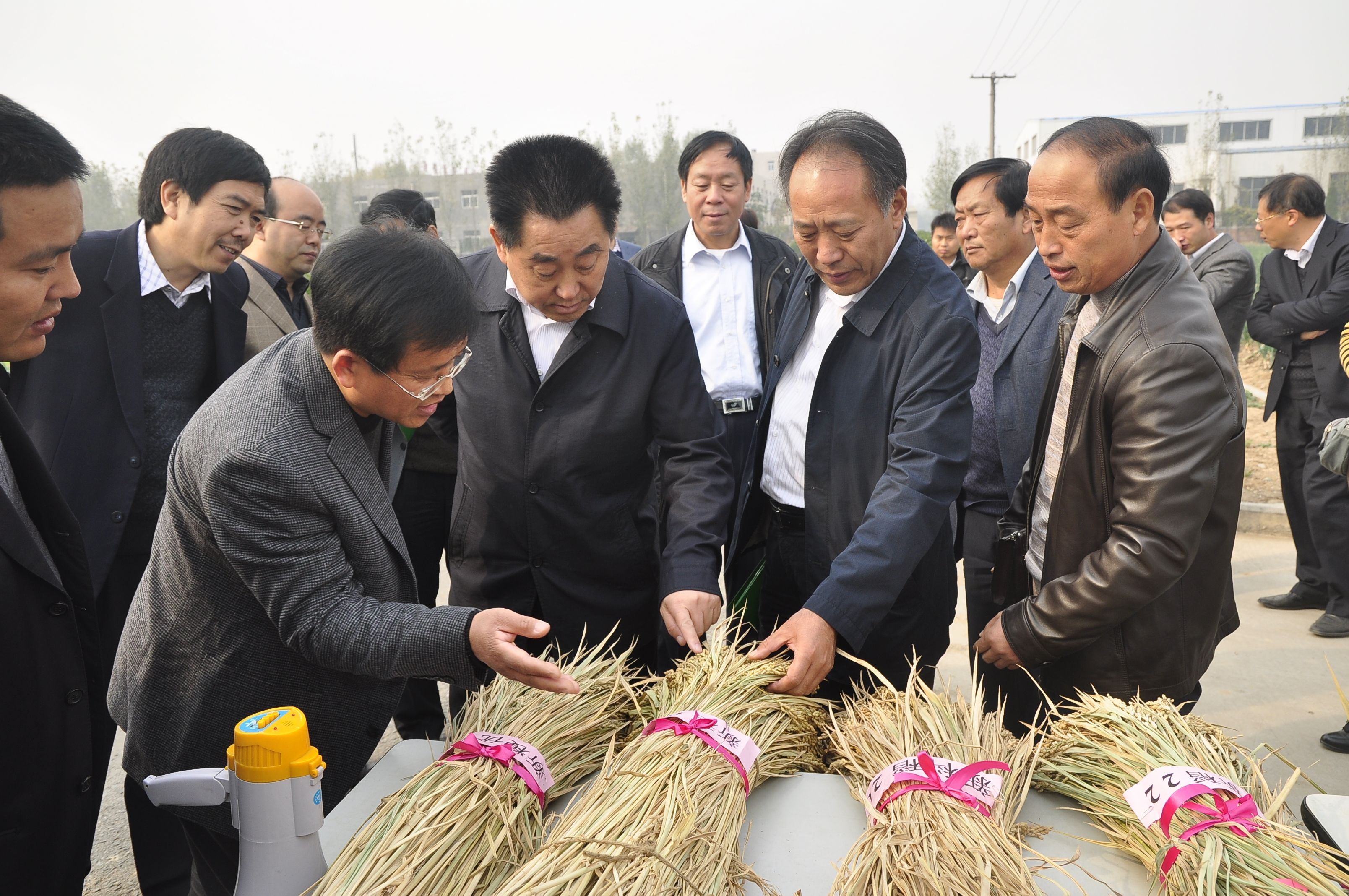 点击在新窗口中打开
