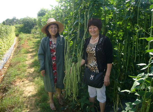 点击在新窗口中打开