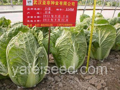 点击在新窗口中打开