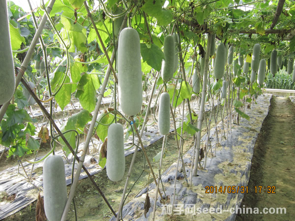点击在新窗口中打开
