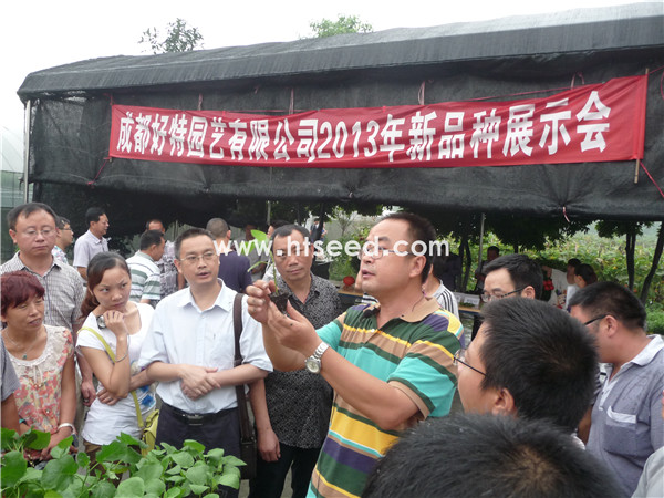点击在新窗口中打开