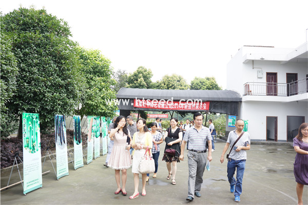 点击在新窗口中打开
