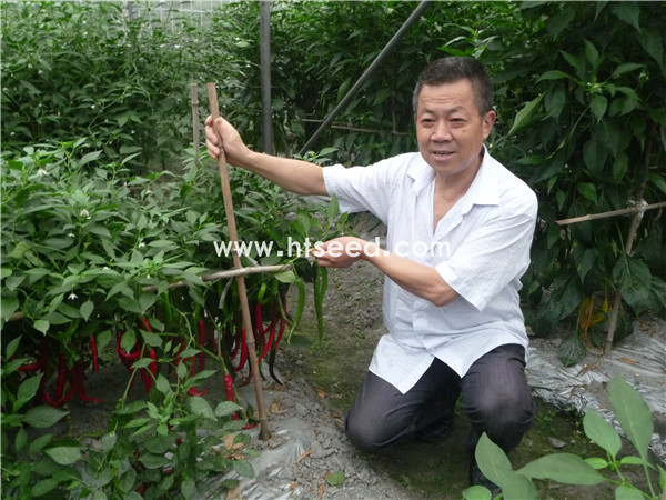 点击在新窗口中打开