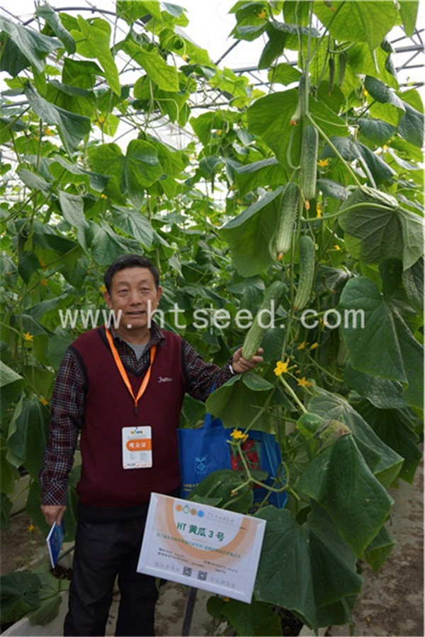 点击在新窗口中打开
