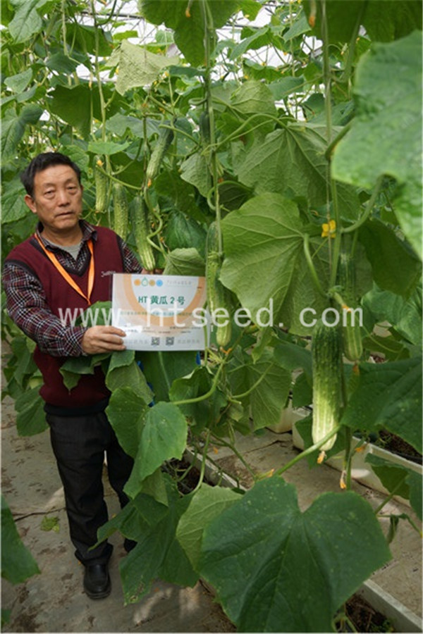 点击在新窗口中打开