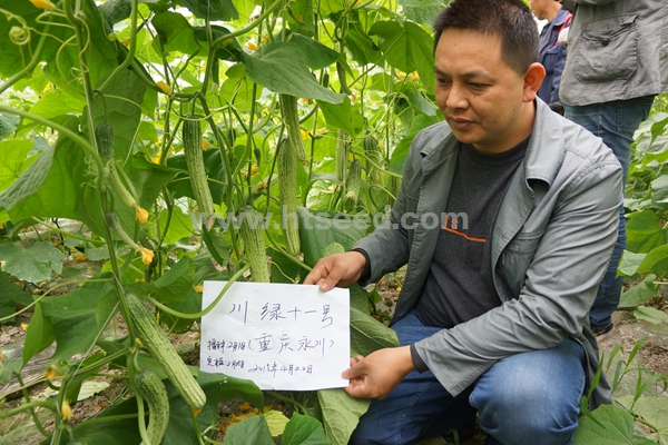点击在新窗口中打开