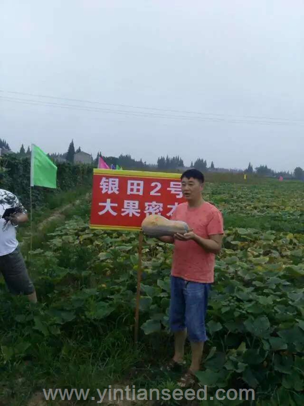 点击在新窗口中打开