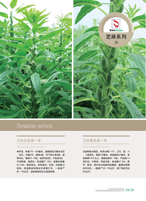 点击在新窗口中打开