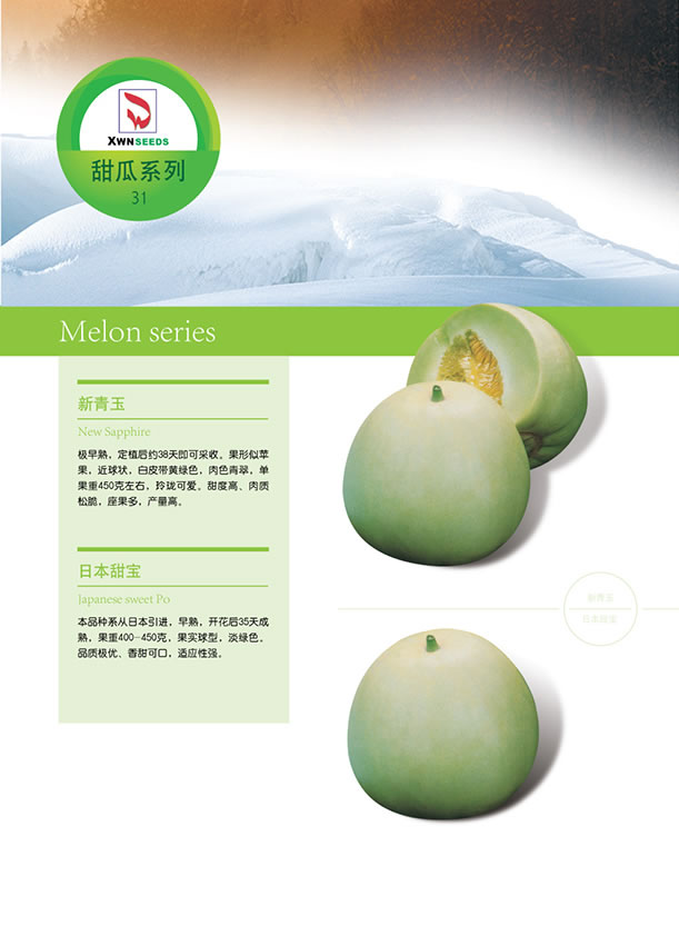 点击在新窗口中打开
