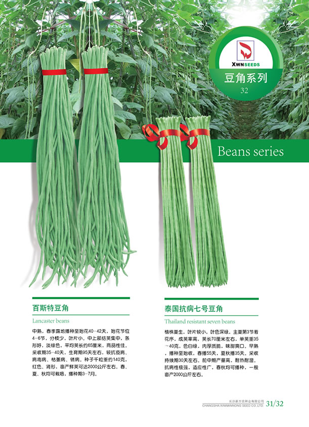 点击在新窗口中打开