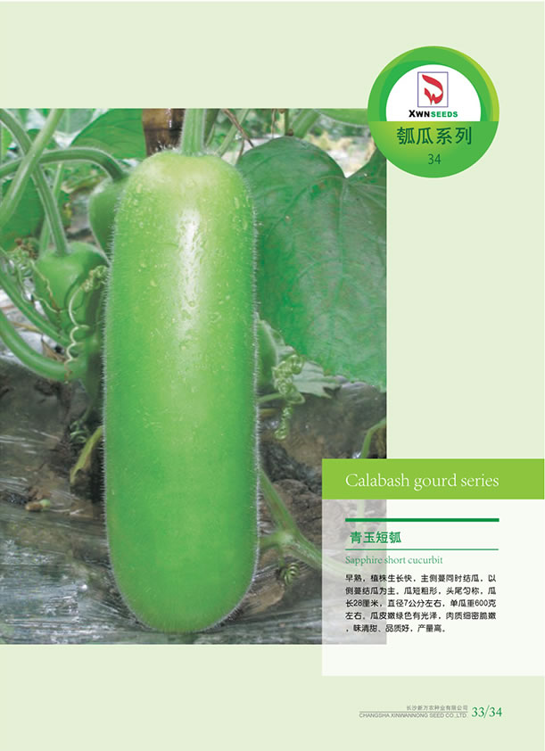 点击在新窗口中打开