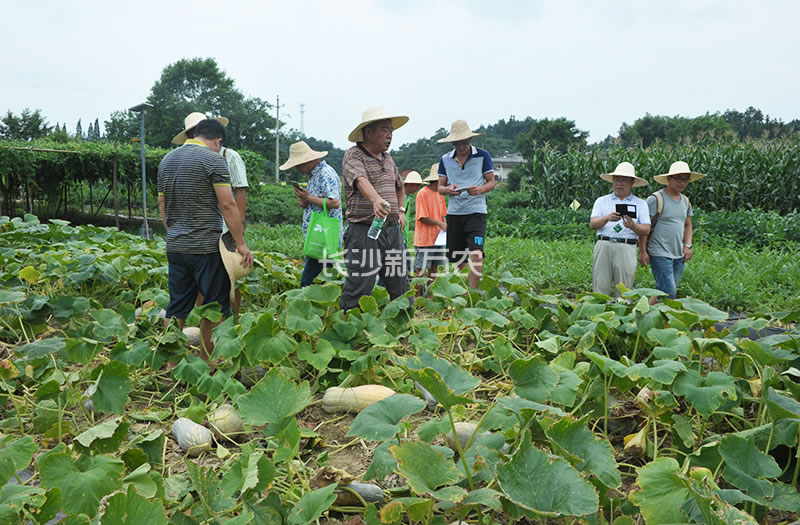点击在新窗口中打开