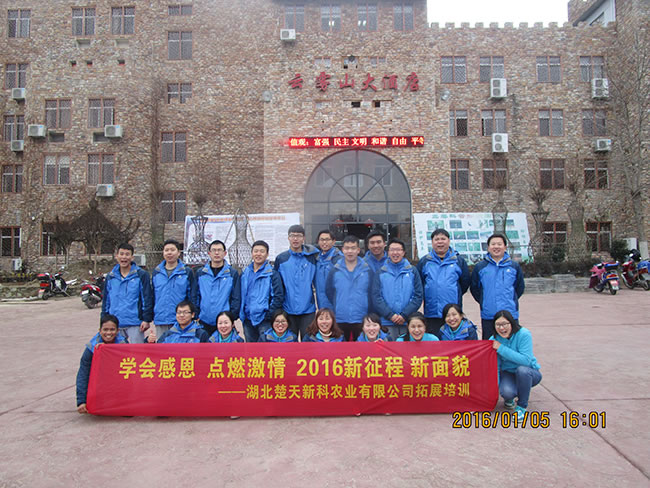点击在新窗口中打开