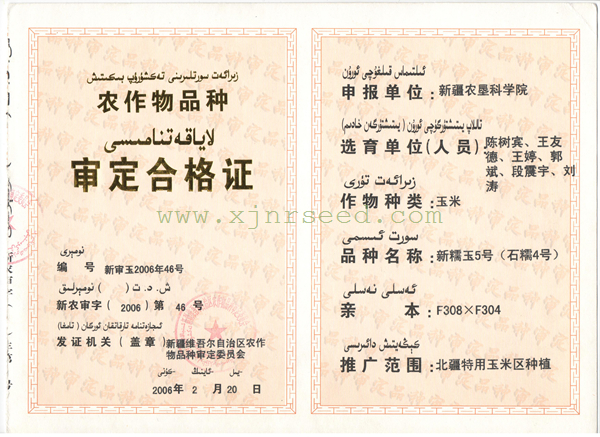 点击在新窗口中打开