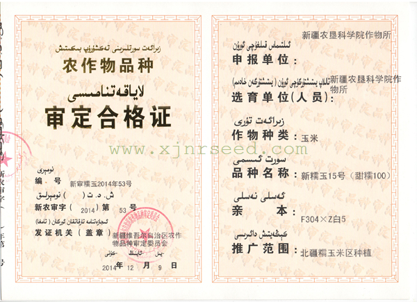 点击在新窗口中打开