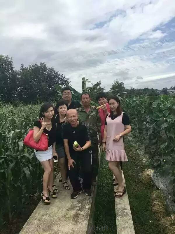 点击在新窗口中打开