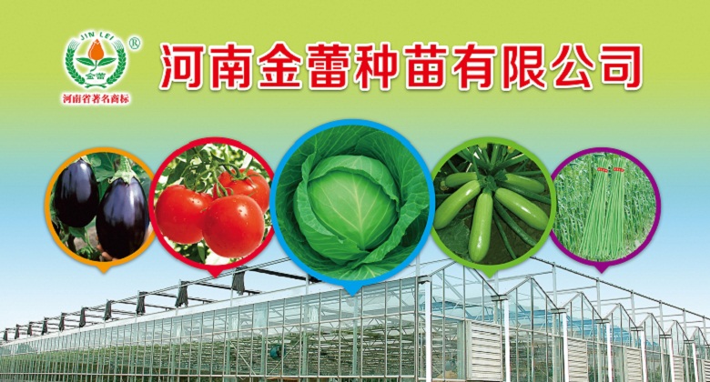 点击在新窗口中打开