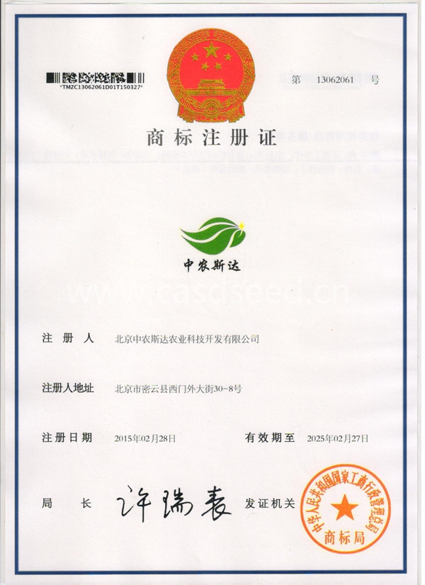 点击在新窗口中打开