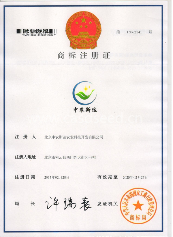 点击在新窗口中打开