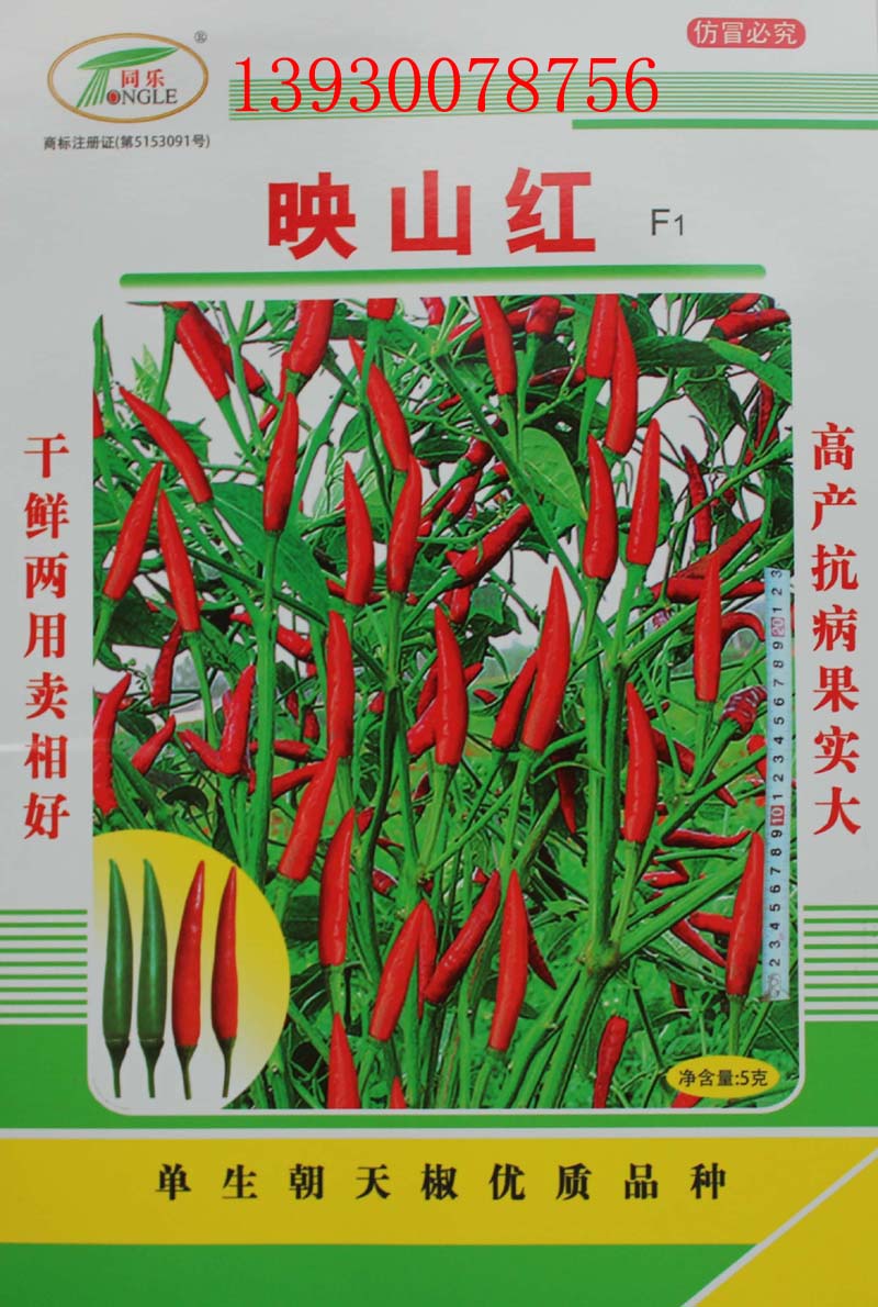 点击在新窗口中打开