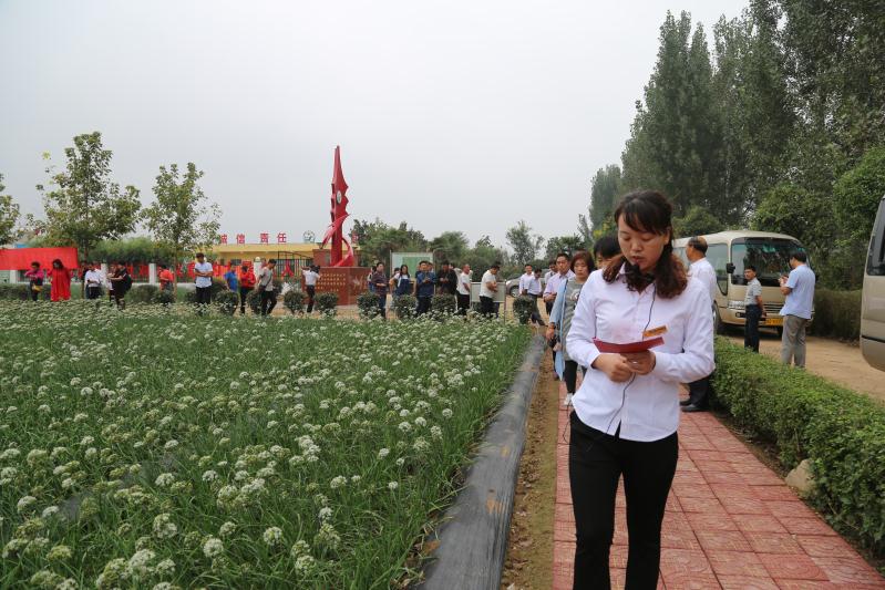 点击在新窗口中打开