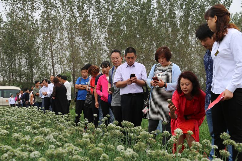 点击在新窗口中打开