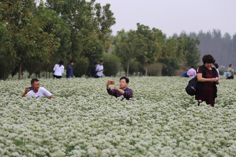 点击在新窗口中打开