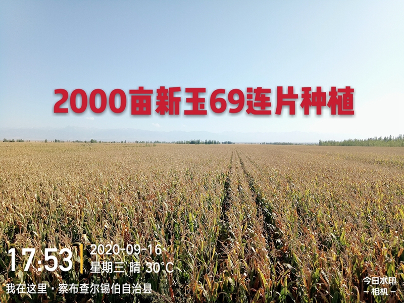 点击在新窗口中打开