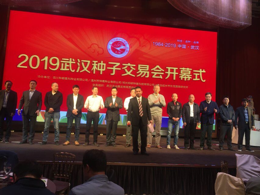 点击在新窗口中打开