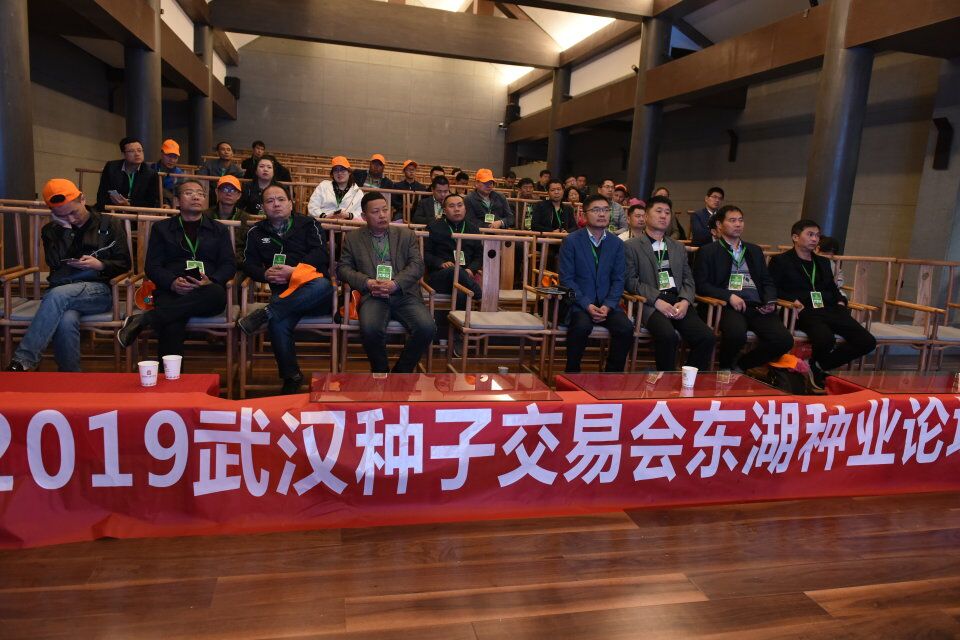 点击在新窗口中打开