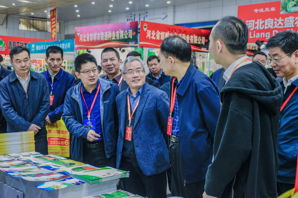 点击在新窗口中打开