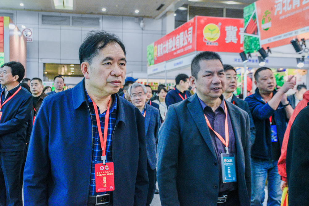 点击在新窗口中打开