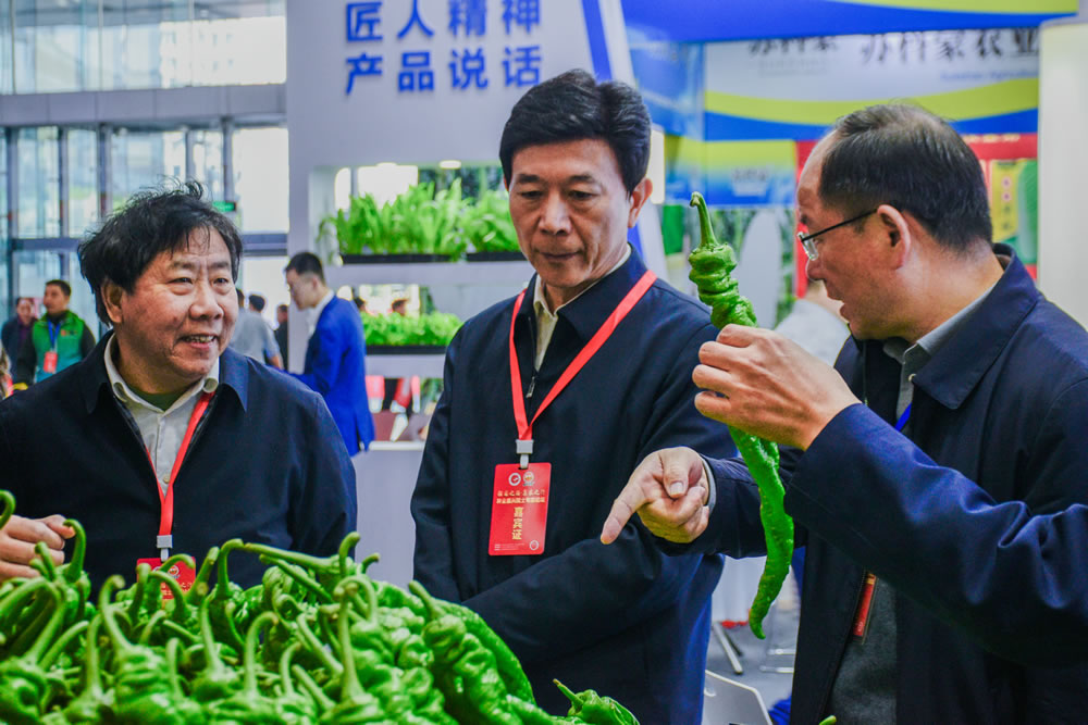 点击在新窗口中打开