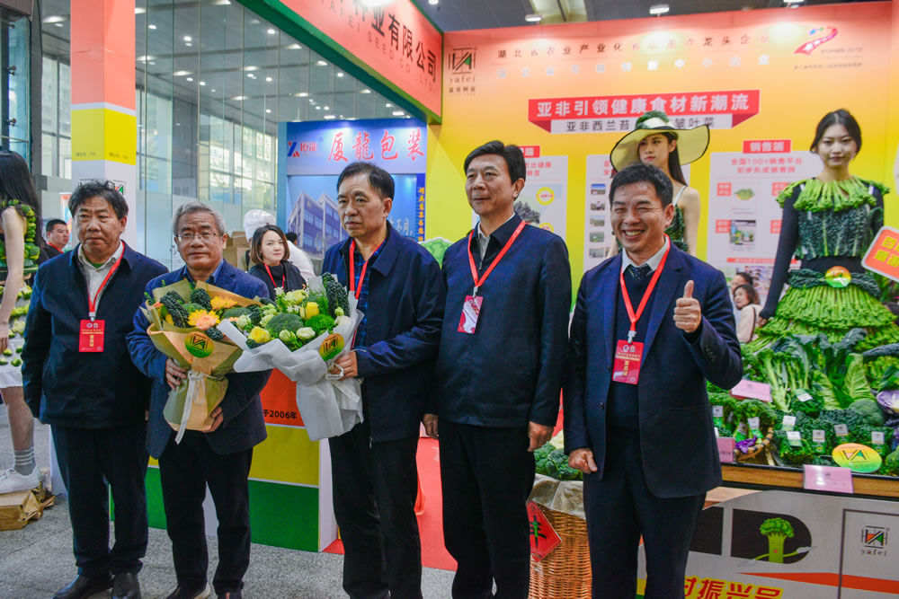 点击在新窗口中打开