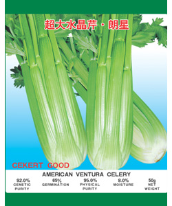 超大水晶芹•朗星