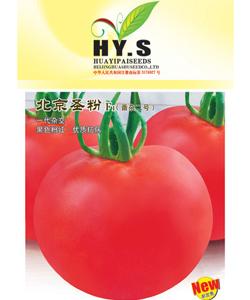 北京圣粉2号--粉果