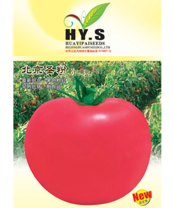 北京圣粉一号--粉果