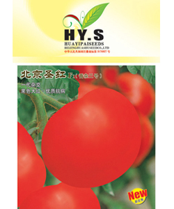 北京圣红--红果