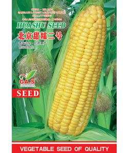 北京甜糯二号--玉米