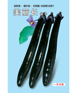 美丽长茄子