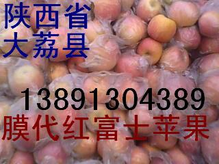 陕西优质膜代红富士基地、粉红女士苹果产地