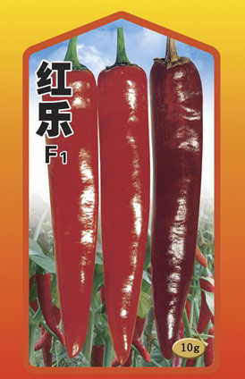 供应韩国红乐辣椒种子