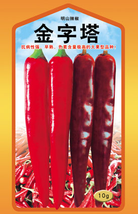 供应金字塔辣椒种子