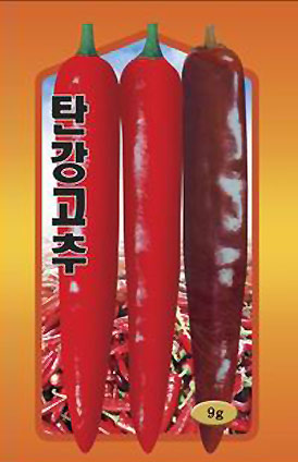 供应探将辣椒种子