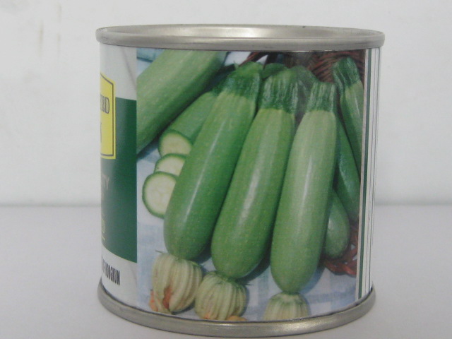 供应优质西葫芦种子玲珑F1