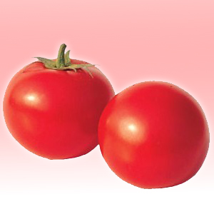 供应萱兰250番茄