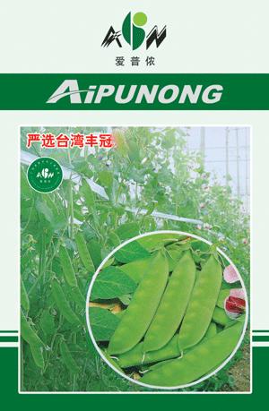 严选台湾丰冠——豆类