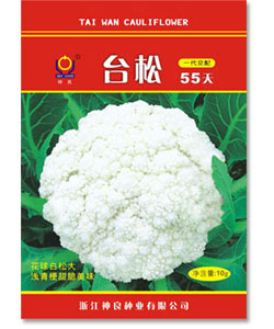 台松55天-青梗松花